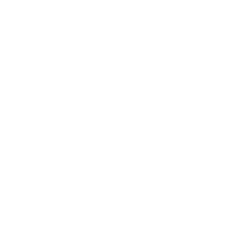 Ammesso 100% o rimborsato
